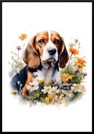 A2 PLAKAT PIES W KWIATACH RASA BEAGLE