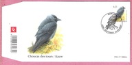 Belgia 2007, FDC st.Wetteren, ptaki kawka