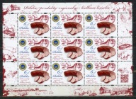 Fi 4854** Polskie produkty regionalne - Kiełbasa lisiecka ARKUSZ 2018