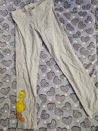 Legginsy ulica sezamkowa