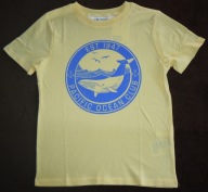 H&M t-shirt wieloryb r. 122/128