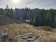 Działka, Zakopane, Tatrzański, 2500 m²