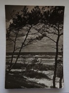 ŁEBA. WIDOK NA MORZE. POCZTÓWKA.