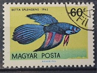 Ryby (kas) - luzak - do uzupełnień 13/8