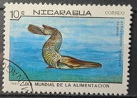 Ryby (kas) - luzak - do uzupełnień 13/8