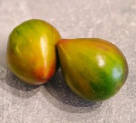 Pomidor Sweet Truffle Heart (486) nasiona kolekcjonerskie