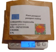 Aksamitka rozpierzchła Tagetes patula L. Z OGRODU CZAROWNICY 5g nasiona