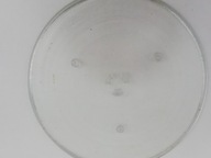 duży talerz kuchenki mikrofalowej microvawe 36cm