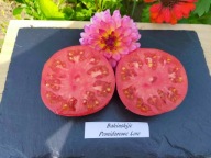 Pomidor Bakinskije smak dawnych malinówek nasiona kolekcjonerskie