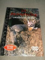 NATURAL KILLERS 38: Lis długouchy Gwiazda Hollywood - DVD folia nowy