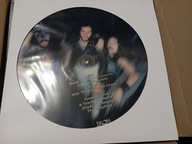 MANILLA ROAD - THE COURTS OF CHAOS - PIC DISC 1 PRESS IRON GLORY + PICTURE!