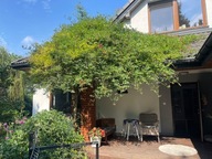 Dom, Żółwin, Brwinów, Pruszkowski, 311 m²