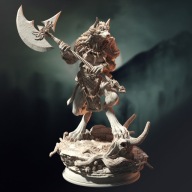 Ariana Grey Werewolf - DM Stash - figurka RPG DnD D&D - druk 3D 14K