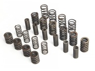 Sprężyny tłumika drgań MPS6 6DCT450 Powershift