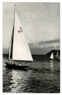 ŻAGLÓWKI NA MORZU FOTO PODDĘBSKI GDYNIA ORŁOWO BAŁTYK