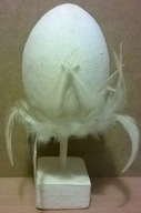 Jajo strusie z gipsu