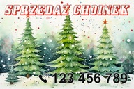 BANER PLANDEKA SPRZEDAŻ CHOINEK CHOINKA 100x50 c25d