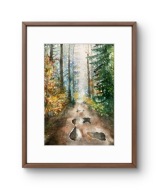 Akwarela pejzaż w ramie