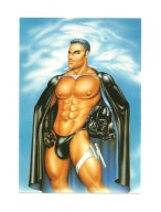 Pocztówka - The Emperor / Fritz of Holland ...