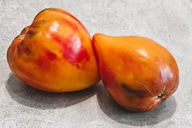 Pomidor Cardinal on Straw (505) nasiona kolekcjonerskie