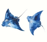 Naklejka ścienna płaszczki 60x40 pvc niebieski na ścianę płaszczka