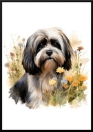 A2 PLAKAT PIES W KWIATACH RASA LHASAAPSO