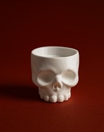 Pojemnik w Kształcie Czaszki, Wyjątkowa Dekoracja, na biżuterię, Halloween