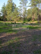 Działka, Chotomów, Jabłonna, Legionowski, 1390 m²