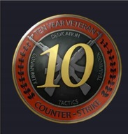 KONTO CS2 4000 GODZIN Z ODZNAKĄ 5 i 10 LAT SŁUŻBY PEŁEN DOSTĘP