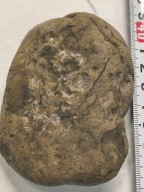 Agat mszysty muszlowy