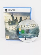 Dziedzictwo Hogwartu Hogwart Legacy PlayStation 5 (PS5) pudełkowa