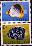 Fi. 1600 - 1608 Ryby egzotyczne.