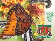 Gwinea Bissau 2018 ** cena 11,50 zł kat.7,50€ (3) - motyle, blok