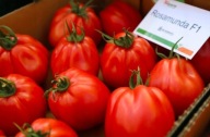 Pomidor Rosamunda F1 nasiona jakości premium - Włoskie 10szt ***