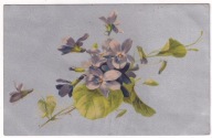 Kwiaty Fiołki ok.1906r. LITOGRAFIA Srebrzona 379C