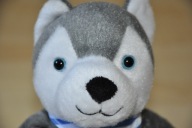 pluszak maskotka pies piesek Husky Hasky KINDER