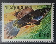 Ryby (kas) - luzak - do uzupełnień 13/7