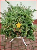 ŻYWE Gałązki sosny naturalne 60 CM 50 SZTUK na wianki girlandy stroiki