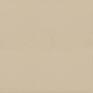 BAZO BEIGE SÓL I PIEPRZ R10 REKT PARADYŻ 60*60 G2 m2 zamów