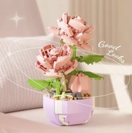 Wysyłka 24 h Kwiaty Róże w Doniczce na prezent Bez oryginalnego pudełka