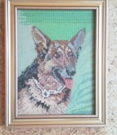 Obraz haftowany pies