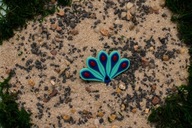 Miraculous Miraculum – broszka w kształcie ogona Pawia