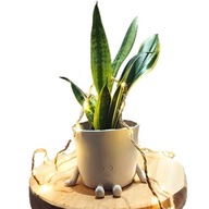 DONICZKA DONICA GLINIANA OSŁONKA Z GLINY własnoręczna dekoracja ozdoba