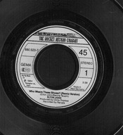 ELTON JOHN - WHO WEARS THESE SHOES? - TORTURED