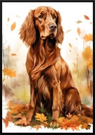 A2 59,4x42 PLAKAT OBRAZ PIES SETER IRLANDZKI, JESIEŃ AKWARELA LIŚCIE