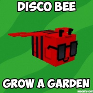 Disco Bee | Grow a Garden | GAG | Roblox
