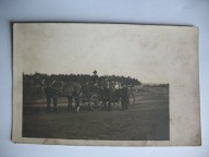 DOROŻKA BRYCZKA KONIE przedwojenne FOTO