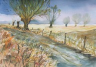 Stare wierzby Akwarela Sabina Salamon 25x35