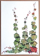 POCZTÓWKA - HANNA REMBERTOWICZ-SZYMBORSKA - WINOBLUSZCZ grafika artystyczna