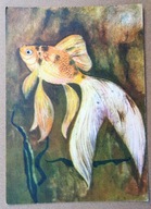 POCZTÓWKA- ANNA STYLO - ZŁOTA RYBKA - KOMETA grafika autorska, lata 60-te